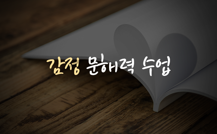 감정 문해력 수업